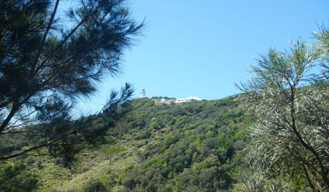 Jack Perkins Walking Track - Accommodation Search 3