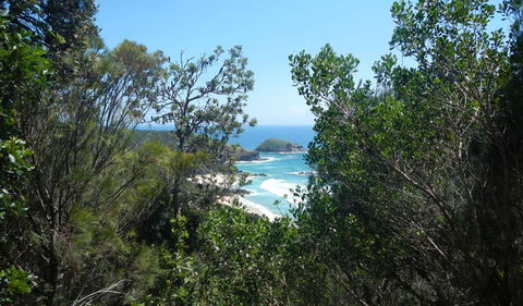 Jack Perkins Walking Track - Accommodation Search 1