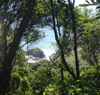 Rainforest walking track - Accommodation Search