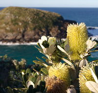 Green Island walking track - Accommodation Search