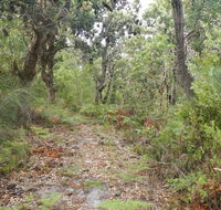Kinchela Trig Lookout walk - Accommodation Search