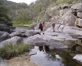Nadgee Wilderness Walk - Accommodation Search 0