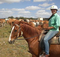 Myella Farm Stay Tours - Accommodation Search