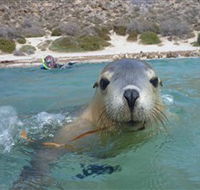 Calypso Star Charters - Accommodation Search