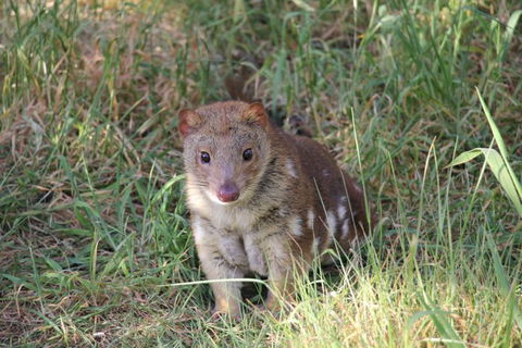 Oceania Tours And Safaris - Accommodation Search 6