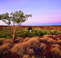 Island Stack Boodjamulla Lawn Hill National Park - Accommodation Search