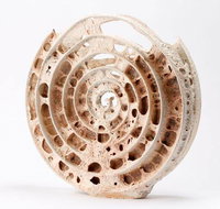 Noosa Regional Gallery - Accommodation Search
