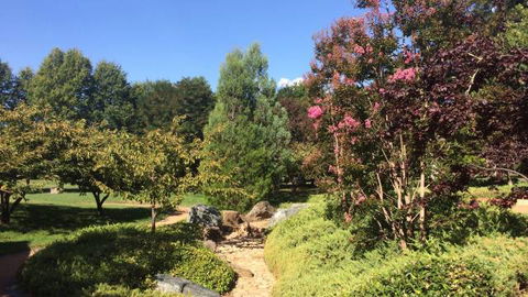 Lennox Gardens - Accommodation Search 0