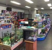 Nambour Pet Shop - Accommodation Search