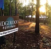 Didgeridoo Jam in the Park - Accommodation Search