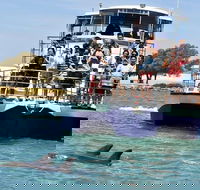 Mandurah Dolphin and Scenic Marine Cruise - Accommodation Search