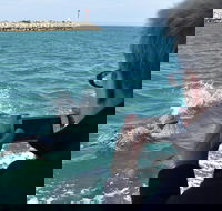 Mandurah Dolphin Island Adventure - Accommodation Search