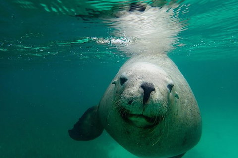 SAILING CHARTER TO CARNAC ISLAND - Accommodation Search 1