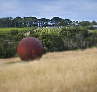 Estate to Plate Montalto Vineyard Gourmet Lunch and Wine-Tasting Tour - Accommodation Search