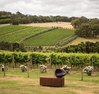 Montalto Vineyard Mornington Peninsula Discovery Wine Tasting and Lunch - Accommodation Search