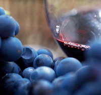 Small Group 6 guests Ultimate Mornington Peninsula Food and Wine - Accommodation Search
