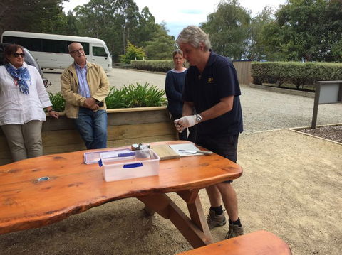 Bruny Island All Inclusive Gourmet Day Trip From Hobart - Accommodation Search 17