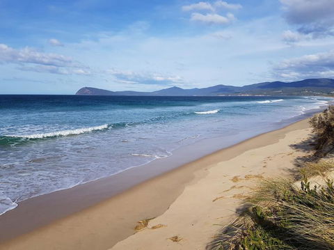 Bruny Island All Inclusive Gourmet Day Trip From Hobart - Accommodation Search 6
