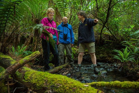 Bruny Island All Inclusive Gourmet Day Trip From Hobart - Accommodation Search 28