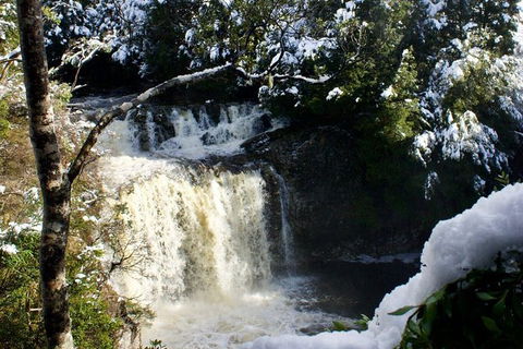 Cradle Mountain Day Tour From Launceston Including Lunch - Accommodation Search 9