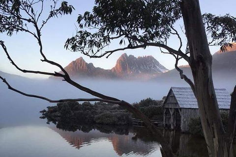 Cradle Mountain Day Tour From Launceston Including Lunch - Accommodation Search 7