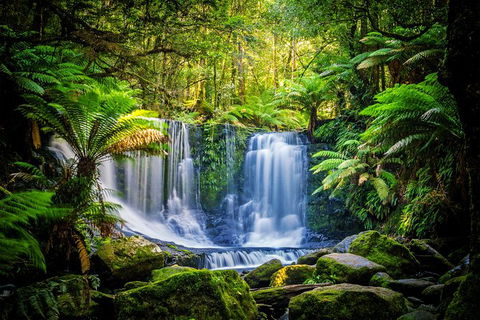 Day Tour In Mt. Field, Mt. Wellington, Bonorong Wildlife Sanctuary And Richmond - Accommodation Search 0
