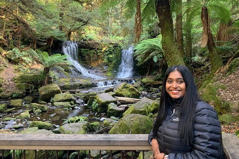 Day Tour In Mt. Field, Mt. Wellington, Bonorong Wildlife Sanctuary And Richmond - Accommodation Search 4