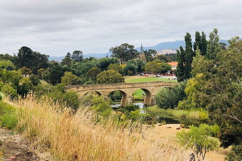 Day Tour In Mt. Field, Mt. Wellington, Bonorong Wildlife Sanctuary And Richmond - Accommodation Search 6