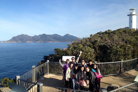 Wineglass Bay And Freycinet National Park Active Day Trip From Hobart - Accommodation Search 1