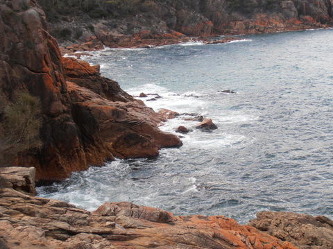 Wineglass Bay And Freycinet National Park Active Day Trip From Hobart - Accommodation Search 4