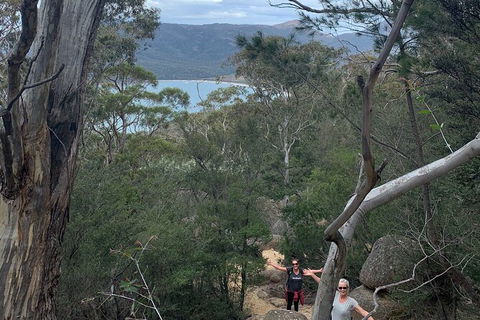 Wineglass Bay And Freycinet National Park Active Day Trip From Hobart - Accommodation Search 14