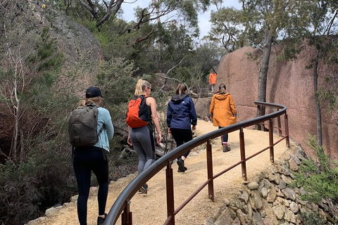Wineglass Bay And Freycinet National Park Active Day Trip From Hobart - Accommodation Search 25