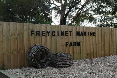 Wineglass Bay And Freycinet National Park Active Day Trip From Hobart - Accommodation Search 20