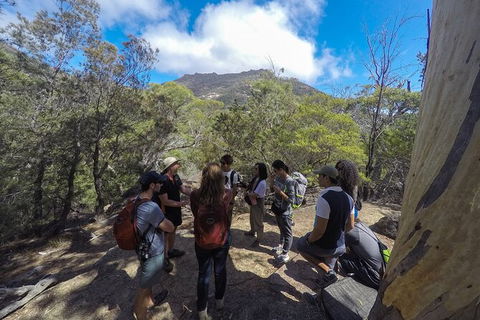 Wineglass Bay And Freycinet National Park Active Day Trip From Hobart - Accommodation Search 9