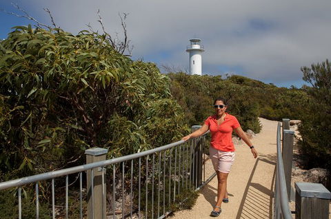 Wineglass Bay And Freycinet National Park Active Day Trip From Hobart - Accommodation Search 29