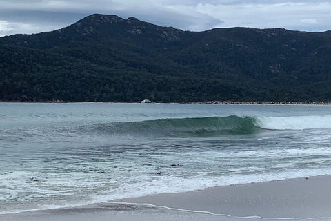 Wineglass Bay And Freycinet National Park Active Day Trip From Hobart - Accommodation Search 17