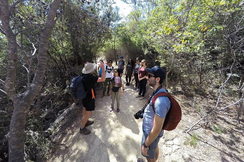 Wineglass Bay And Freycinet National Park Active Day Trip From Hobart - Accommodation Search 19