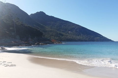 Wineglass Bay And Freycinet National Park Active Day Trip From Hobart - Accommodation Search 10