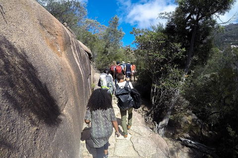 Wineglass Bay And Freycinet National Park Active Day Trip From Hobart - Accommodation Search 21