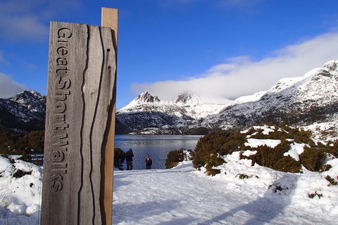 Cradle Mountain Active Day Trip From Launceston - Accommodation Search 12