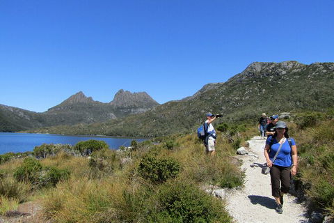 Cradle Mountain Active Day Trip From Launceston - Accommodation Search 9