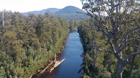 Small-group DayTour From Hobart: Hastings Caves, Huon Valley And Tahune AirWalk - Accommodation Search 3