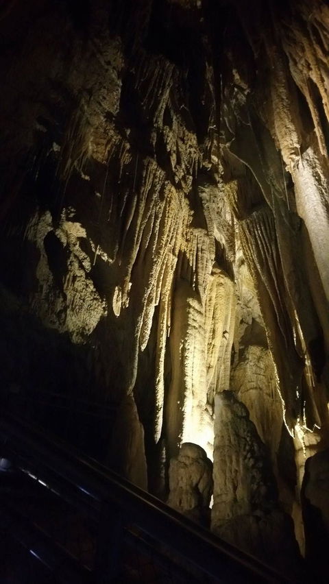 Small-group DayTour From Hobart: Hastings Caves, Huon Valley And Tahune AirWalk - Accommodation Search 5