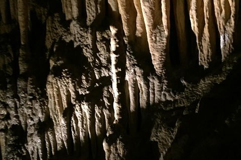 Small-group DayTour From Hobart: Hastings Caves, Huon Valley And Tahune AirWalk - Accommodation Search 1