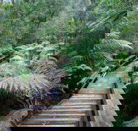 Small-group DayTour from Hobart Hastings Caves Huon Valley and Tahune AirWalk - Accommodation Search