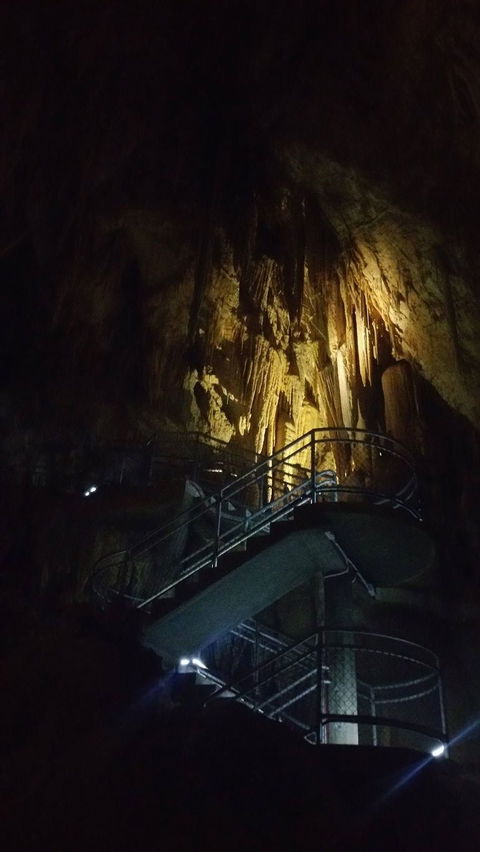 Small-group DayTour From Hobart: Hastings Caves, Huon Valley And Tahune AirWalk - Accommodation Search 4