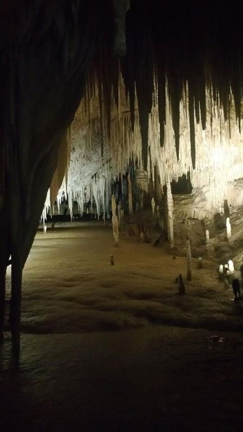 Small-group DayTour From Hobart: Hastings Caves, Huon Valley And Tahune AirWalk - Accommodation Search 8