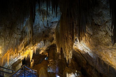 Small-group DayTour From Hobart: Hastings Caves, Huon Valley And Tahune AirWalk - Accommodation Search 19