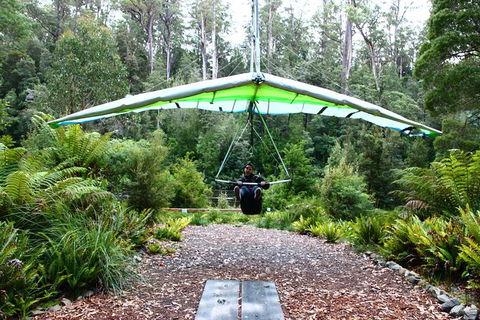 Small-group DayTour From Hobart: Hastings Caves, Huon Valley And Tahune AirWalk - Accommodation Search 10
