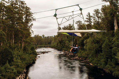 Small-group DayTour From Hobart: Hastings Caves, Huon Valley And Tahune AirWalk - Accommodation Search 14